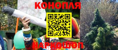 мяу мяу мука Новокубанск