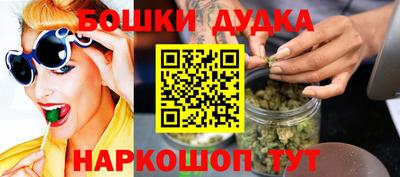 спиды Новодвинск